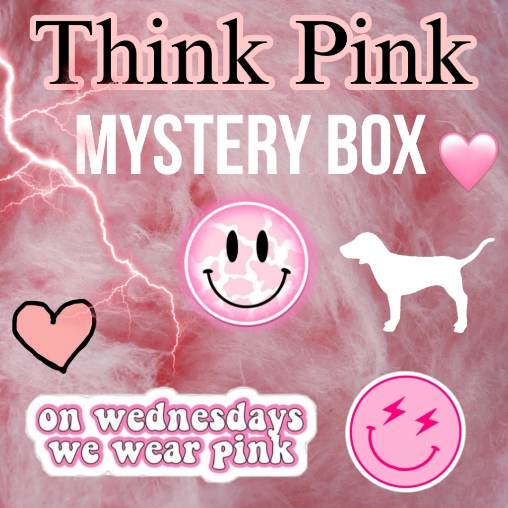 Think Pink Mystery Box! On Wednesdays We Wear Pink Preloved Surprise Bundle